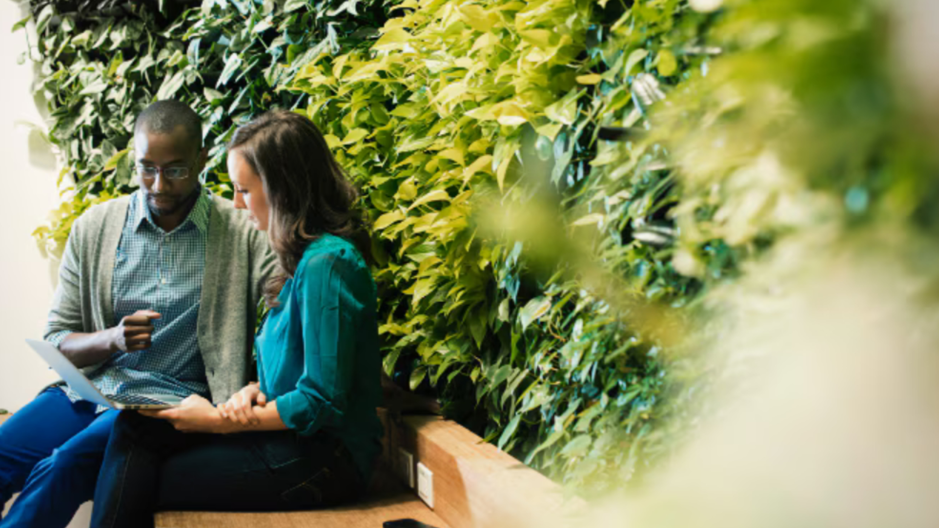 Explore opportunities to grow  Section Image