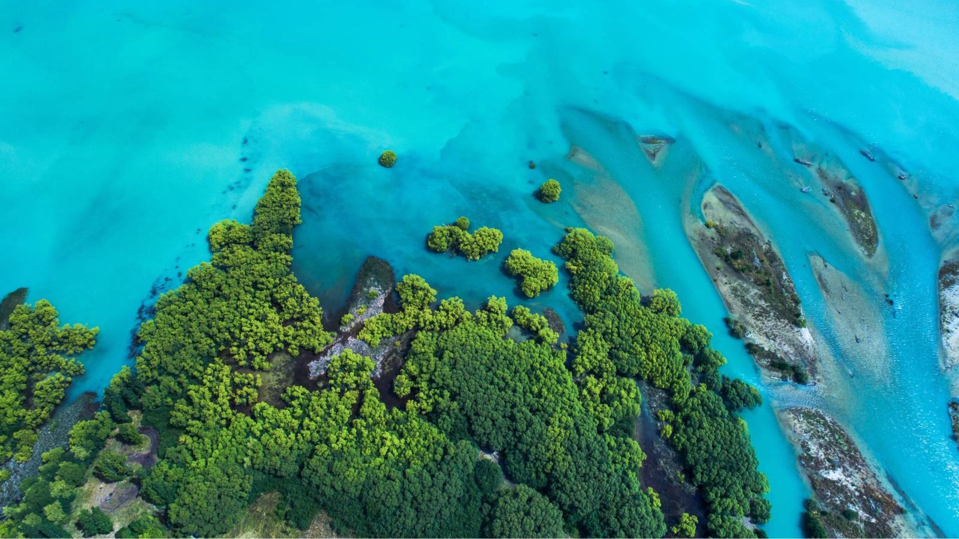 Environmental, Social, and Governance Section Image