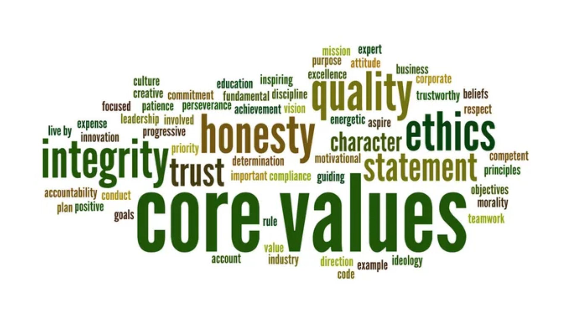 Our Values  Section Image