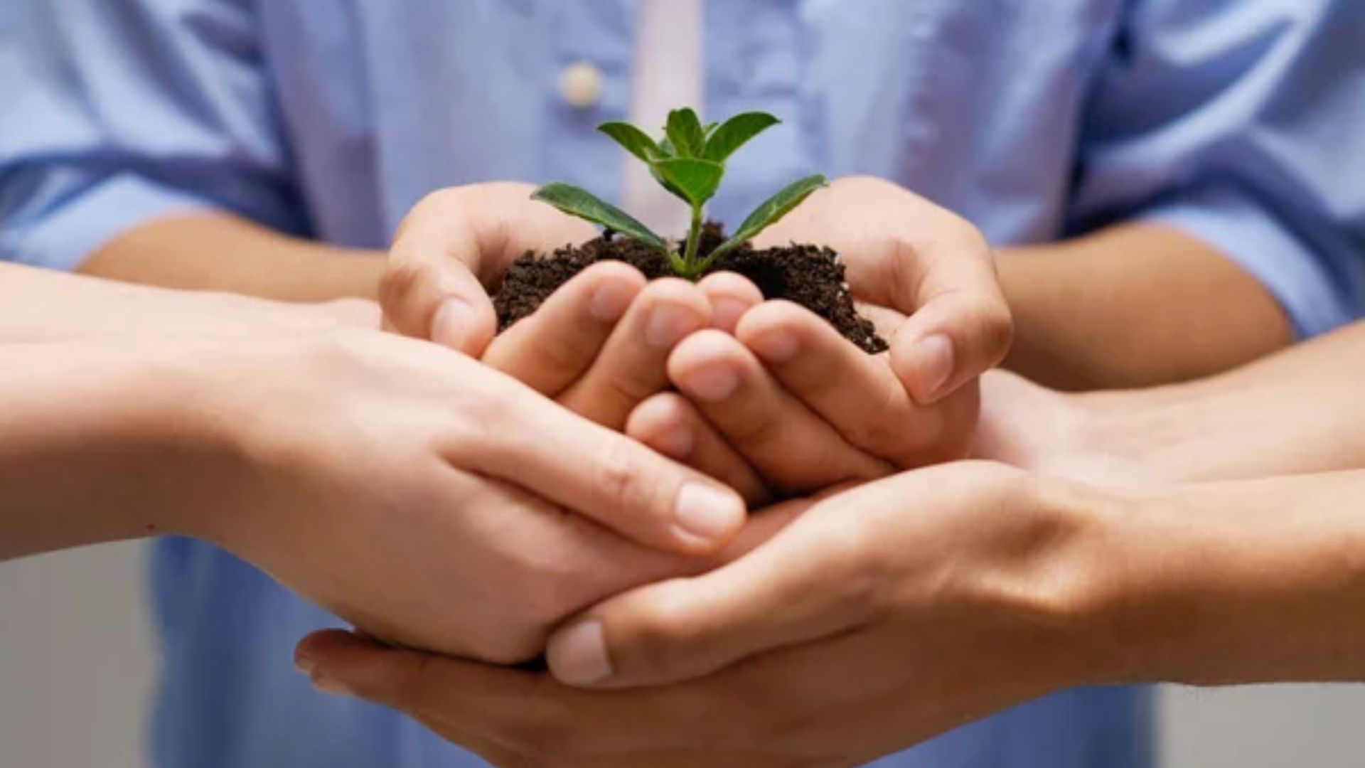 Corporate Social Responsibility at Rashmi Section Image