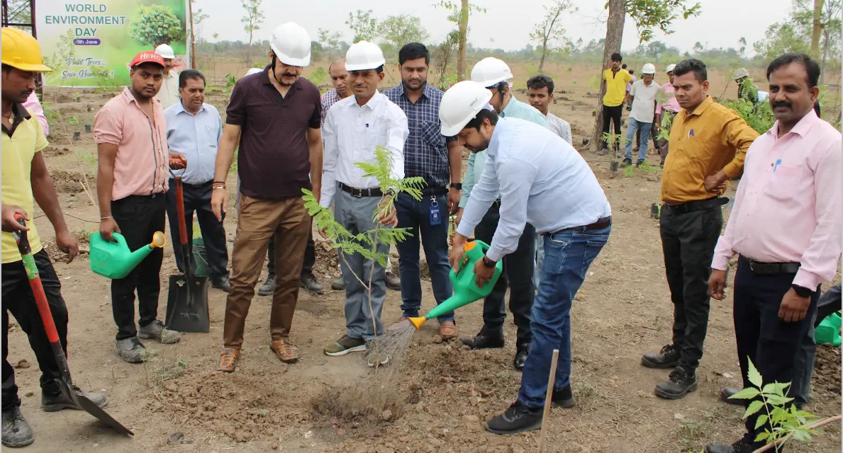 World Environment Day at Nova Section Image 3