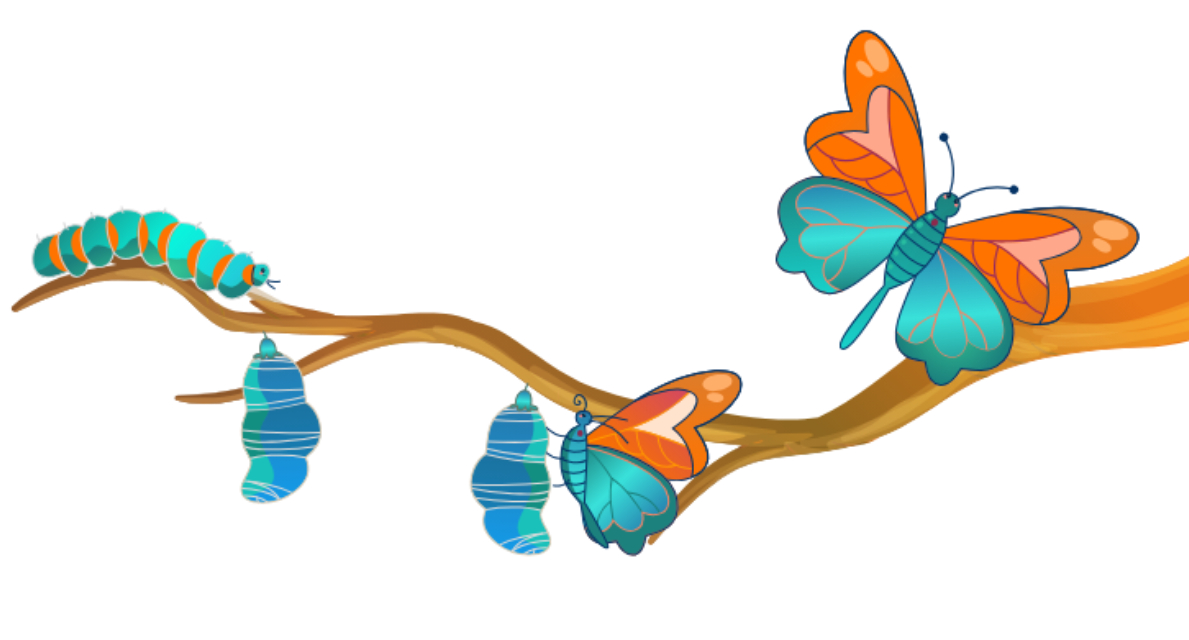 How We Transform Section Image