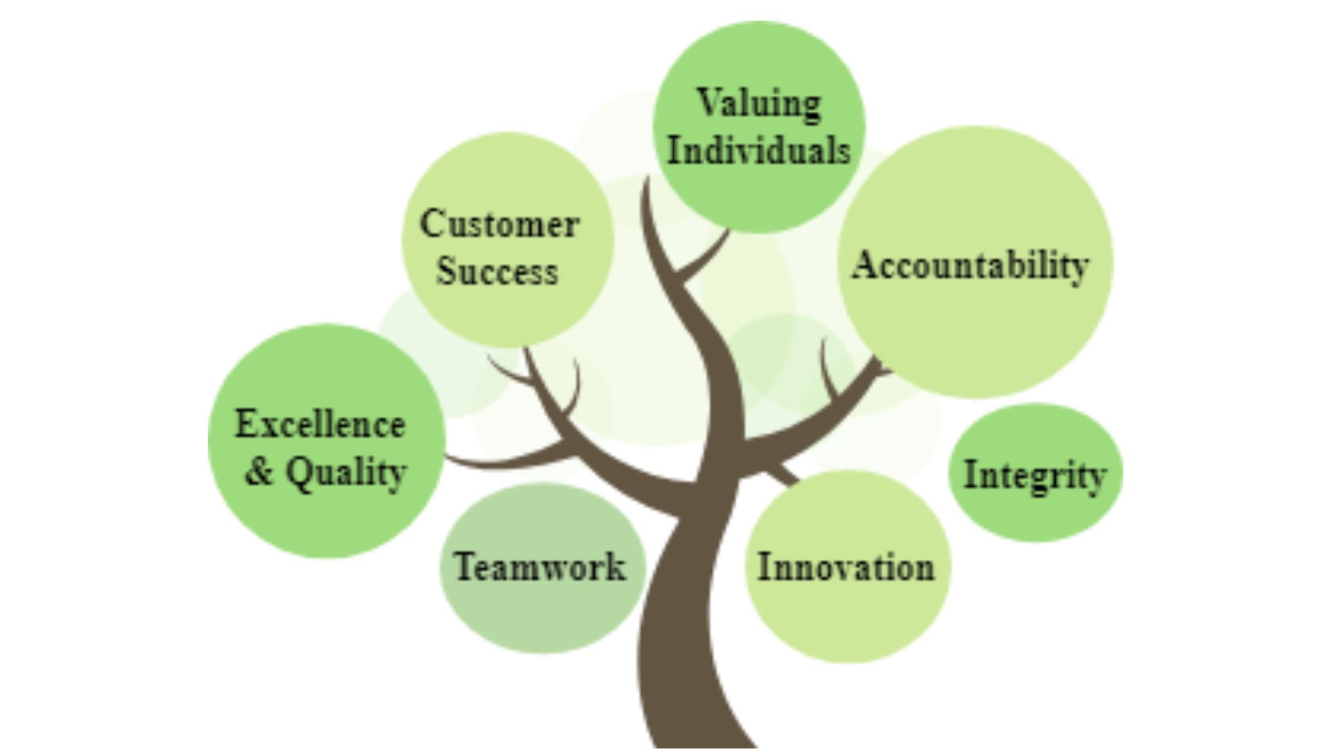 Core Values Section Image