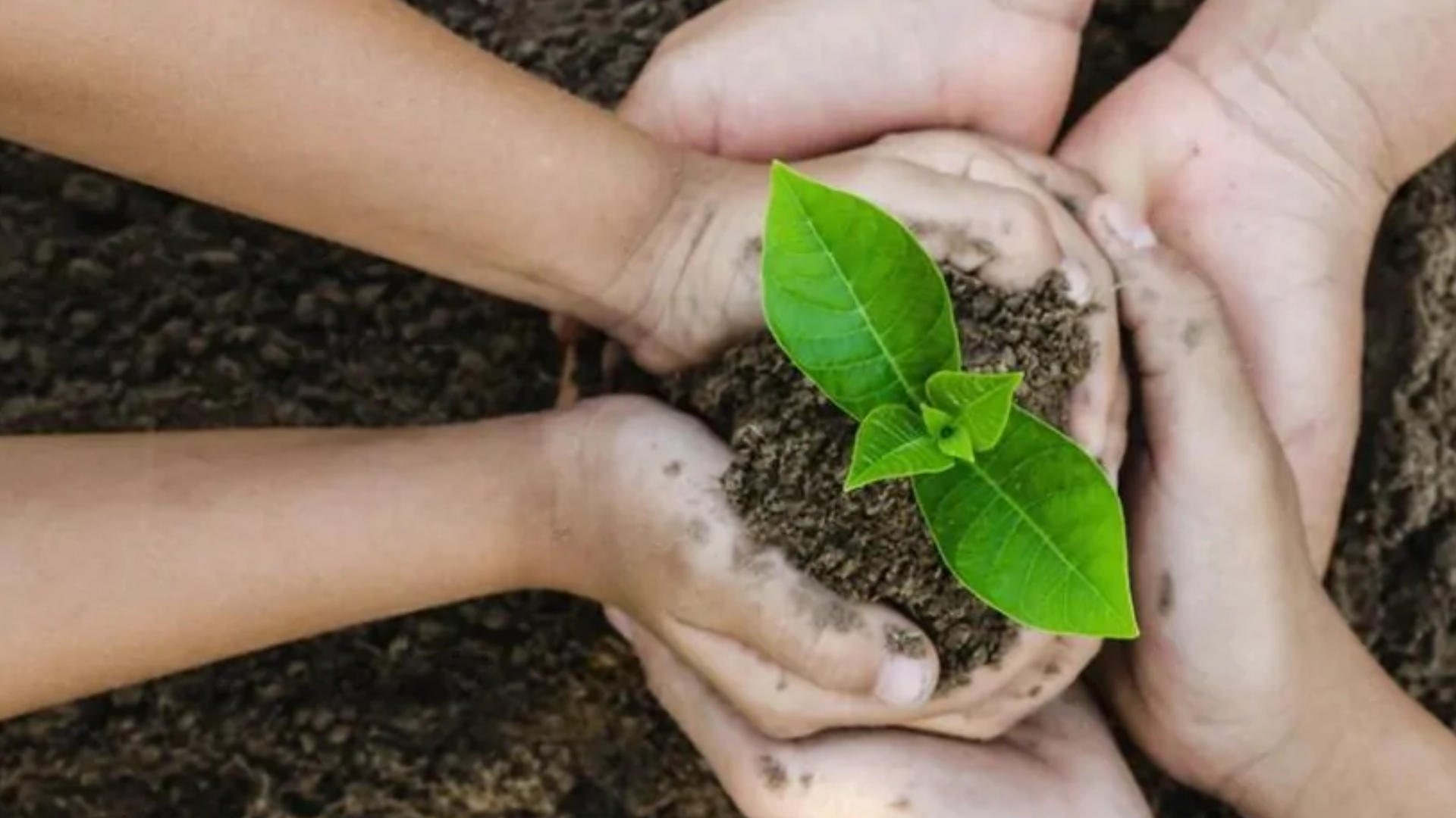 Our Corporate Social Responsibility Section Image
