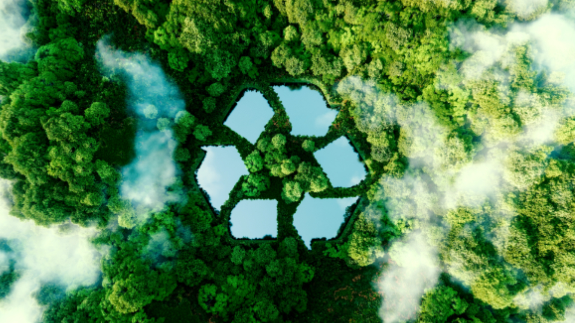 Restoring Ecosystems - Journey with ReEarth Section Image